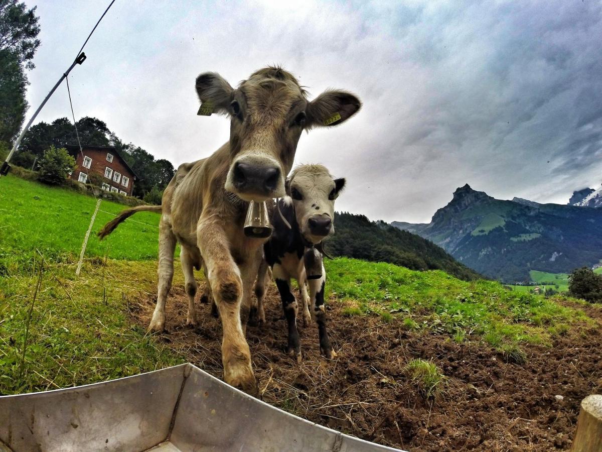 Hostel Engelberg "Mein Trail Hostel" Kültér fotó