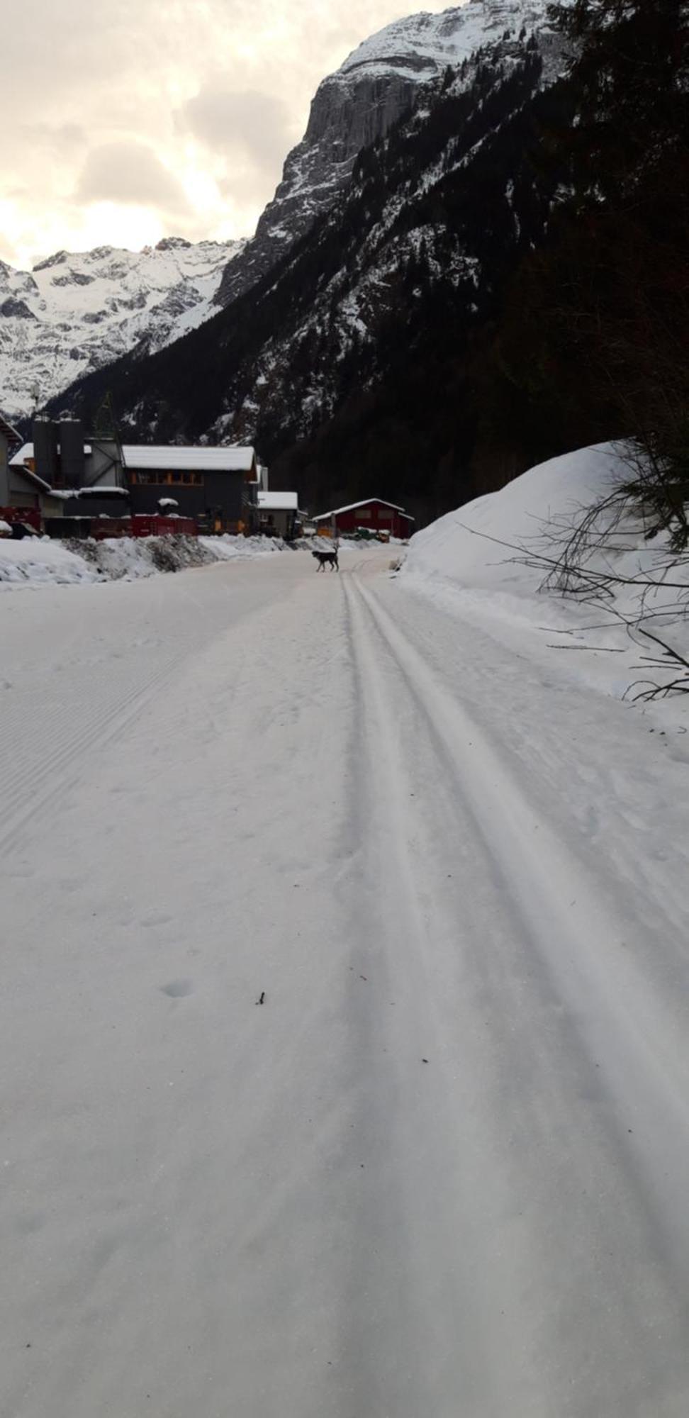 Hostel Engelberg "Mein Trail Hostel" Kültér fotó
